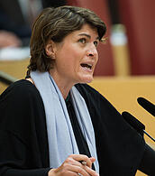 Claudia Stamm stellte die Anfrage.
