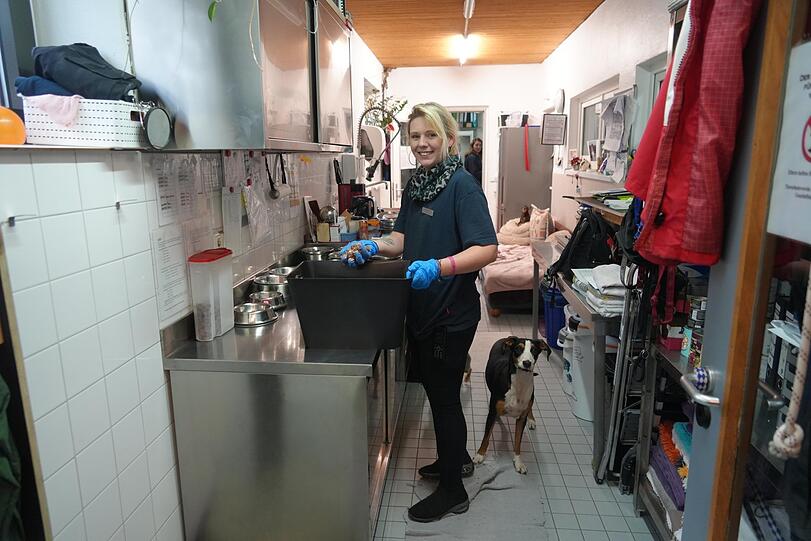 Tierpflegerin Sabrina Bock bereitet gerade das Abendessen für die Hund zu.