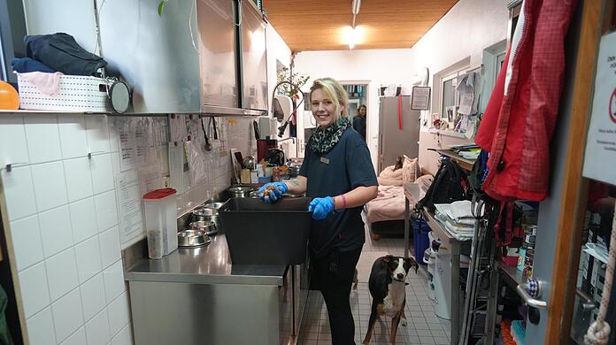 Tierpflegerin Sabrina Bock bereitet gerade das Abendessen für die Hund zu.