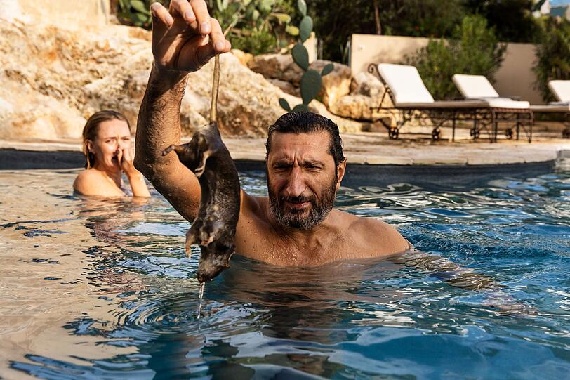 Auch Carl (Fares Fares) und Helene (Frida Gustavsson) fühlen sich zunehmend unwohl in ihrem vorübergehenden Traumanwesen in Sizilien. Eine tote Ratte im Pool, dann der Mordverdacht - treibt hier jemand absichtlich ein Spiel mit ihnen? Auch Carl (Fares Fares) und Helene (Frida Gustavsson) fühlen sich zunehmend unwohl in ihrem vorübergehenden Traumanwesen in Sizilien. Eine tote Ratte im Pool, dann der Mordverdacht - treibt hier jemand absichtlich ein Spiel mit ihnen?