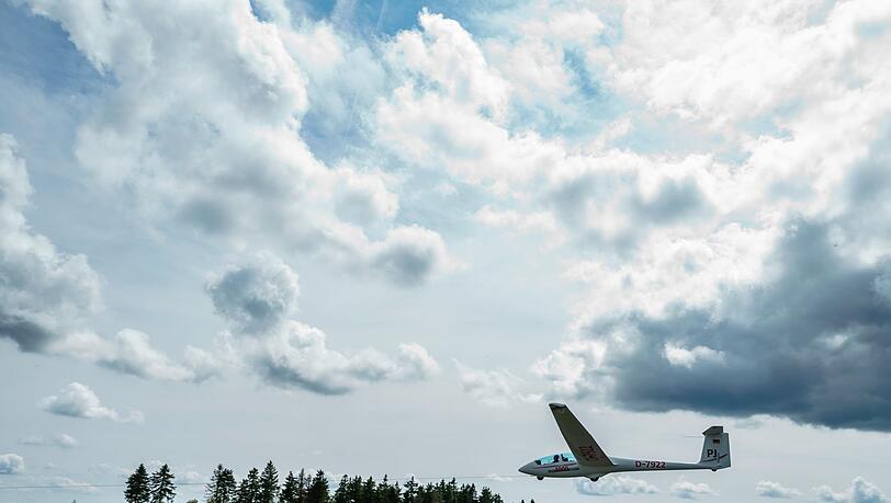 Bei der Bruchlandung prallt das Segelflugzeug gegen einen Telefonmast und einen Baum. (Symbolbild) Bei der Bruchlandung prallt das Segelflugzeug gegen einen Telefonmast und einen Baum. (Symbolbild)
