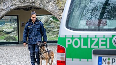 Polizeihundeführer sollen mehr Futtergeld bekommen. (Archivbild)