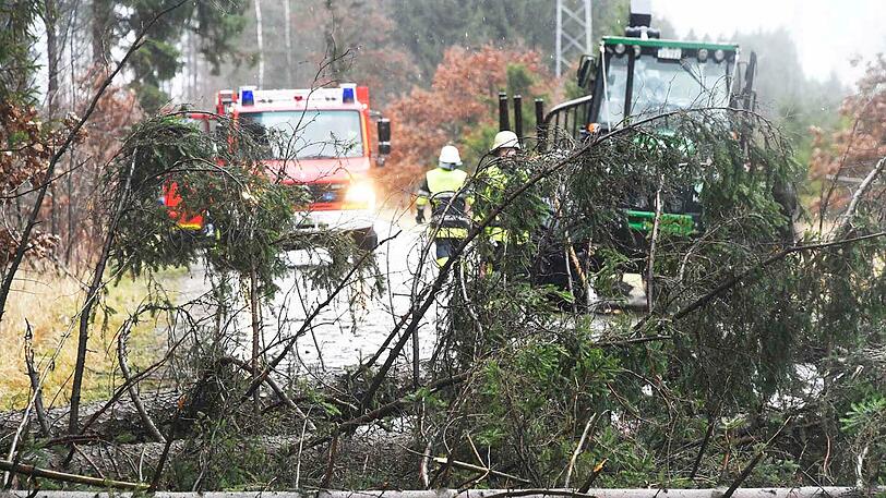 Auch in Oberhaching stürzten Bäume auf die Straße.