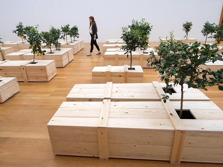 100 Särge, aus denen Zitronen- und Orenagenbäumchen wachsen: "Ex It" (1997/2019) von Yoko Ono.