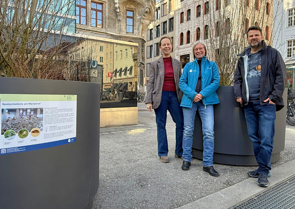 Von links: Ursula Harper (Gr&uuml;ne/Rosa Liste im Stadtrat), Sylvia Weber (LBV M&uuml;nchen) und Tobias Schiefer (Baureferat Gartenbau).