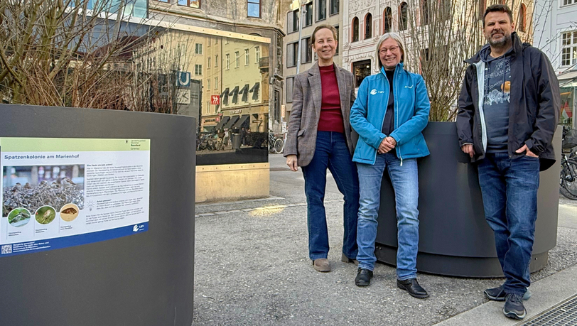 Von links: Ursula Harper (Gr&uuml;ne/Rosa Liste im Stadtrat), Sylvia Weber (LBV M&uuml;nchen) und Tobias Schiefer (Baureferat Gartenbau).