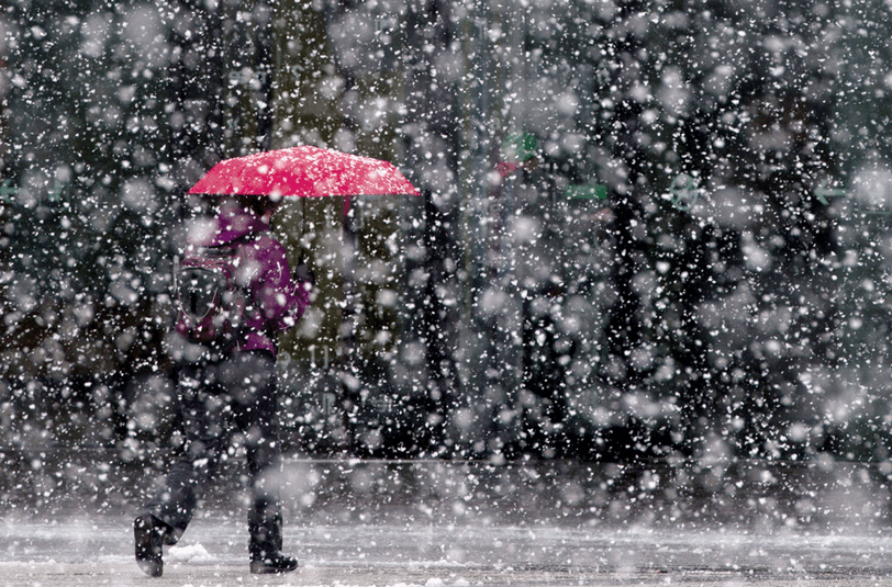 Schneefall - dieses Bild soll es in den kommenden Tagen laut Meteorologen häufig geben.