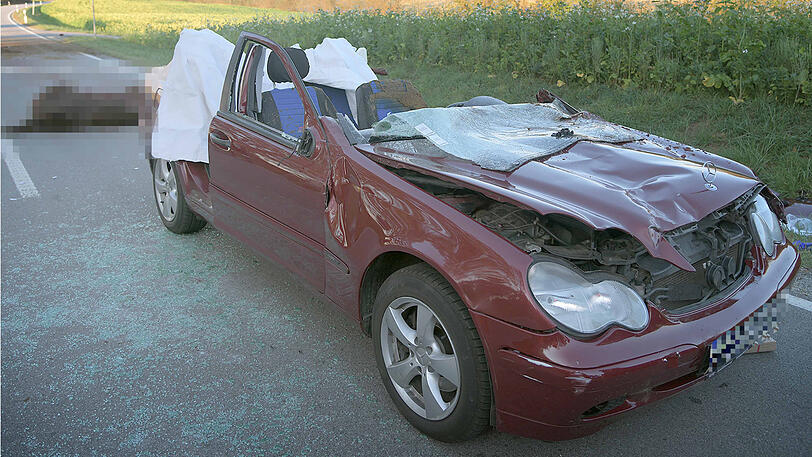 Ein Mercedes mit Totalschaden, ein schwerverletzter Autofahrer und zwei tote Pferde auf der Landstraße. Die schrecklichen Bilder aus Gangkofen