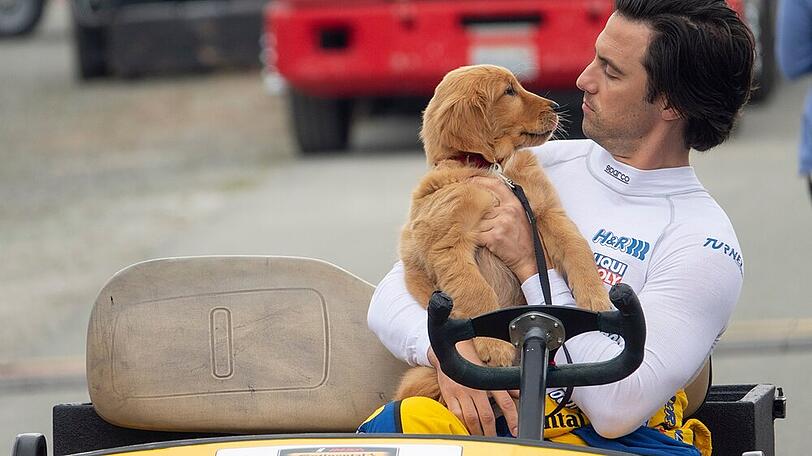 Rennfahrer Denny (Milo Ventimiglia) liebt seinen Hund Enzo (Kevin Costner) über alles.