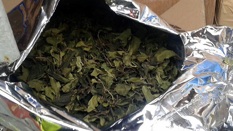 Im Frühjahr 2000 fanden die Zöllner bei zwei britischen Staatsangehörigen 86 Kilogramm Khat.