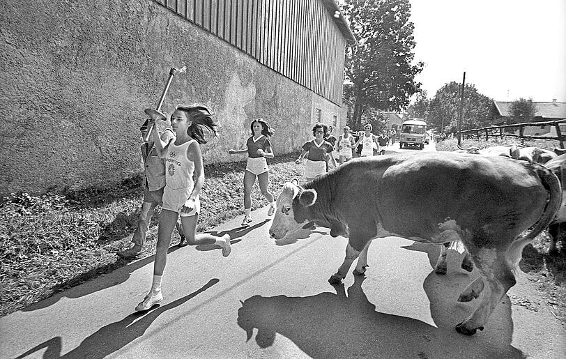 Das Olympische Feuer auf dem Weg nach München: In Reitham im Landkreis Miesbach nehmen plötzlich noch andere Kandidaten teil. Eine Kuhherde kreuzt plötzlich den Weg der Athleten. Was für ein herrliches Zeitdokument! Das Olympische Feuer auf dem Weg nach München: In Reitham im Landkreis Miesbach nehmen plötzlich noch andere Kandidaten teil. Eine Kuhherde kreuzt plötzlich den Weg der Athleten. Was für ein herrliches Zeitdokument!