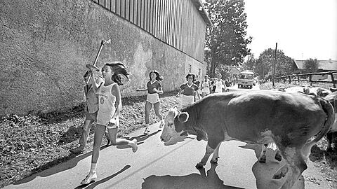 Das Olympische Feuer auf dem Weg nach München: In Reitham im Landkreis Miesbach nehmen plötzlich noch andere Kandidaten teil. Eine Kuhherde kreuzt plötzlich den Weg der Athleten. Was für ein herrliches Zeitdokument!
