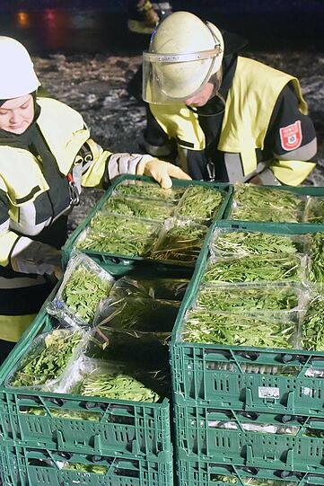 Am Ende musste auch die Ladung gesichert werden: 22 Tonnen Gemüse.