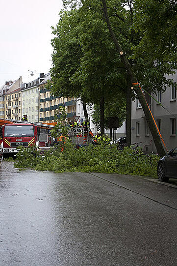 Am Boden bildet sich ein Berg aus Ästen. Bis jetzt landen alle Teile gut, kein Auto kriegt etwas ab.