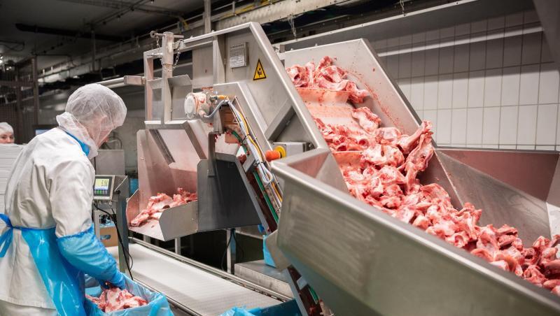 Ab 2021 darf in der Fleischindustrie nicht mehr mit Leiharbeit oder Werksverträgen gearbeitet werden. Ab 2021 darf in der Fleischindustrie nicht mehr mit Leiharbeit oder Werksverträgen gearbeitet werden.