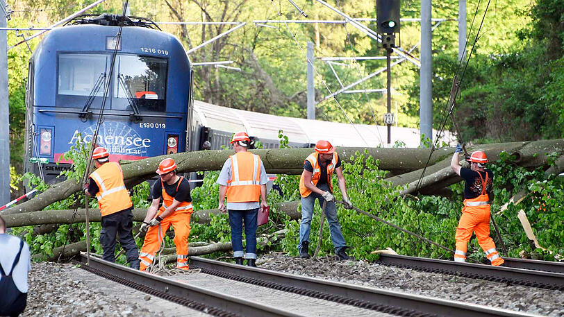 Stundenlange Sperre: Ein umgestürzter Baum hat bei Grafing im Landkreis Ebersberg die Zugstrecke München-Rosenheim blockiert. Im Einsatz waren starke Kräfte des Rettungsdienstes, darunter mehrere Schnelleinsatzgruppen sowie die Feuerwehren Grafing, Nettelkofen, Aßling, Straußdorf, Loitersdorf, Elkofen, Ebersberg und Niclasreuth. Die Bilder von der schwierigen Bergung.