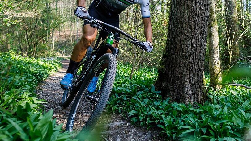 Als er den Hund nicht erwischte, prügelte ein Mountainbiker mit einem dicken Stock auf die Halterin ein. (Symbolbild)