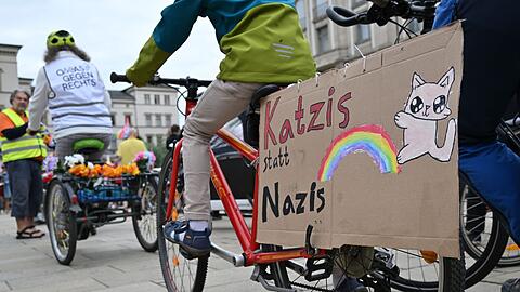 Viele AfD-Gegner kamen mit selbstgebastelten Protestschildern.