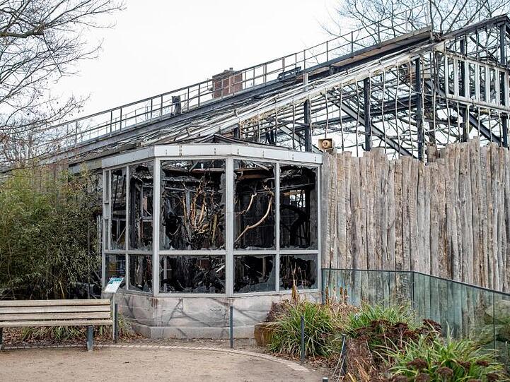 Das abgebrannte Affenhaus des Krefelder Zoos.