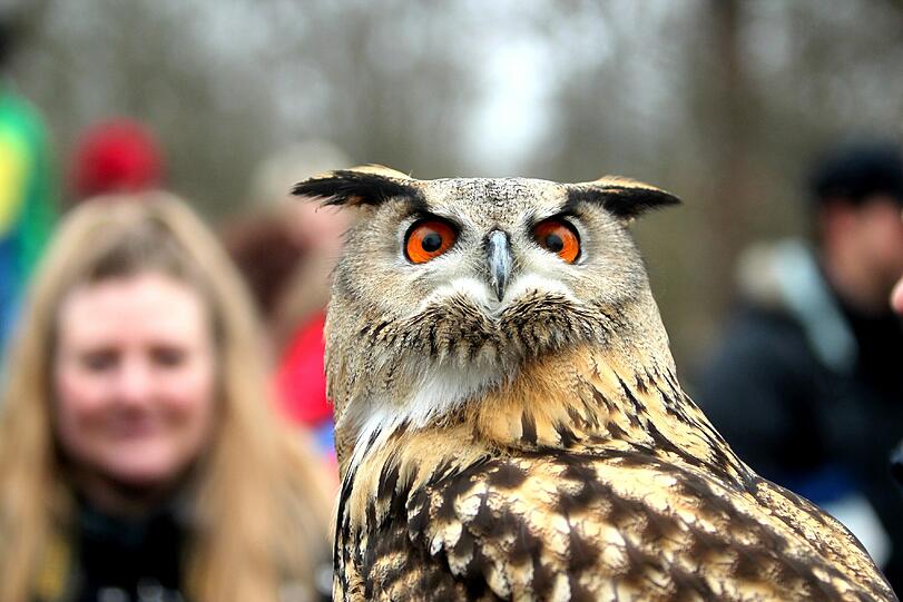 Im Schutzgebiet "Obere Isarauen" leben viele bedrohte Tierarten.