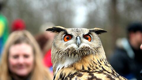 Im Schutzgebiet "Obere Isarauen" leben viele bedrohte Tierarten.