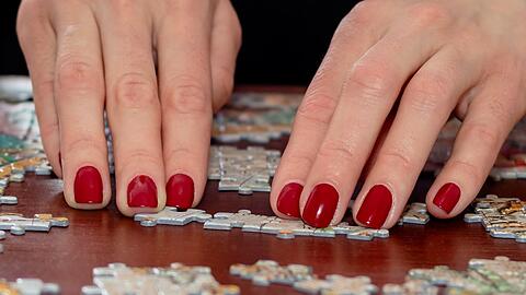 Knobelfüchse feiern am 29. Januar den Tag des Puzzles.