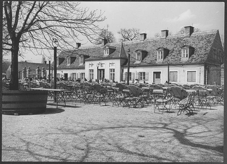 Das Bier ist hier heimisch: 1767 wurde in dem Park für die kurfürstlichen Brauhäuser Hopfen angebaut. Danach probierte man's mit Seidenraupen und Maulbeerbäumen, mit mäßigem Erfolg. Ab 1780 wurde das Areal zum Jagdrevier für den Adel, das Kurfürst Karl Theodor jedoch bald den Münchner Bürgern für Erholung zur Verfügung stellte. In diese Zeit fallen auch die Anfänge der Gastronomie im Hirschgarten. Dieses Foto entstand deutlich später: 1967.