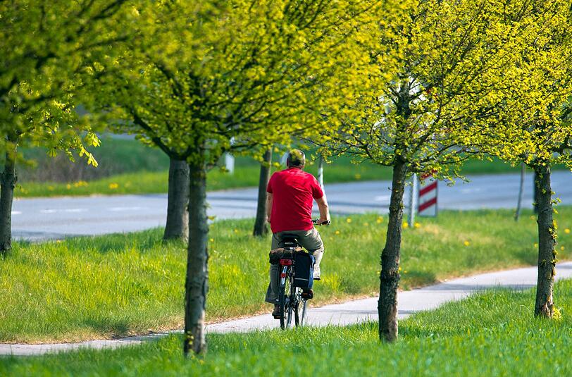 Ein Mann war mit seinem Fahrrad unterwegs, als ihn plötzlich zwei Hunde ins Bein bissen (Symbolbild).