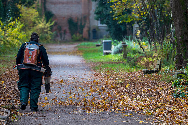 Eine Frau bläst die Wege auf dem alten Südfriedhof mit einem Laubbläser frei.