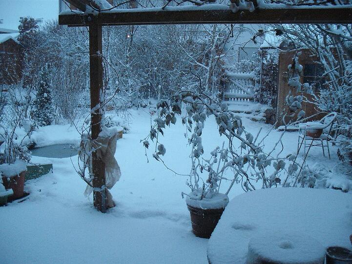 Morgens um sieben im Oberland. So sehen südlich von München die Gärten inzwischen aus. Schnee wo gestern noch die Schneeglöckchen aus dem Boden spitzten.