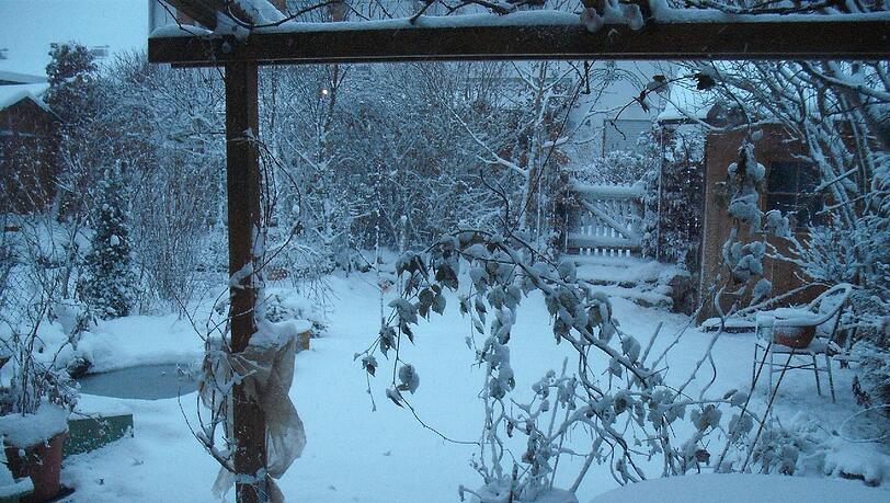 Morgens um sieben im Oberland. So sehen südlich von München die Gärten inzwischen aus. Schnee wo gestern noch die Schneeglöckchen aus dem Boden spitzten. Morgens um sieben im Oberland. So sehen südlich von München die Gärten inzwischen aus. Schnee wo gestern noch die Schneeglöckchen aus dem Boden spitzten.