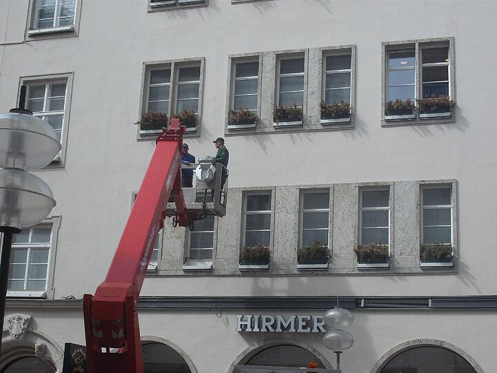 Die Adventsdeko am Modehaus Hirmer wird ausgetauscht gegen frische Frühlimgsblumen