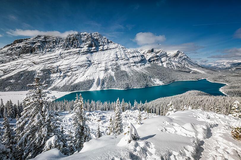 Schuld an der kräftigen Farbe des Peyto Lake sind Sedimente, die durch das Schmelzwasser verschiedener Gletscher in den See gelangen. Schuld an der kräftigen Farbe des Peyto Lake sind Sedimente, die durch das Schmelzwasser verschiedener Gletscher in den See gelangen.