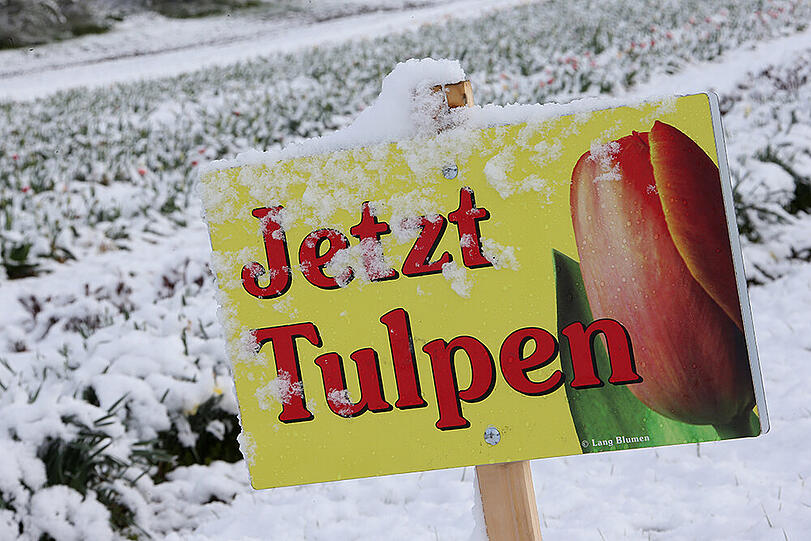 Weitere Schneebilder aus Bayern und Deutschland.