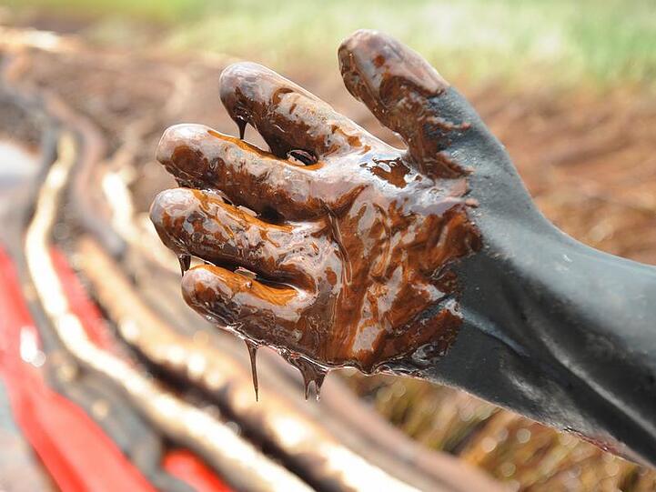 Der Untergang der "Deepwater Horizon" wird zur größten Umweltkatastrophe der USA.