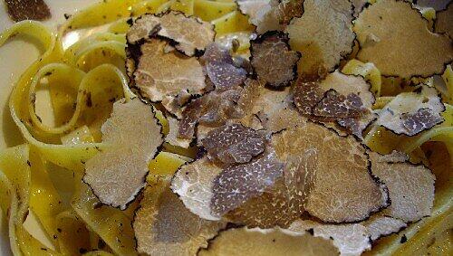 Trüffel auf Fettuccine, Foto: G. Merk Trüffel auf Fettuccine, Foto: G. Merk