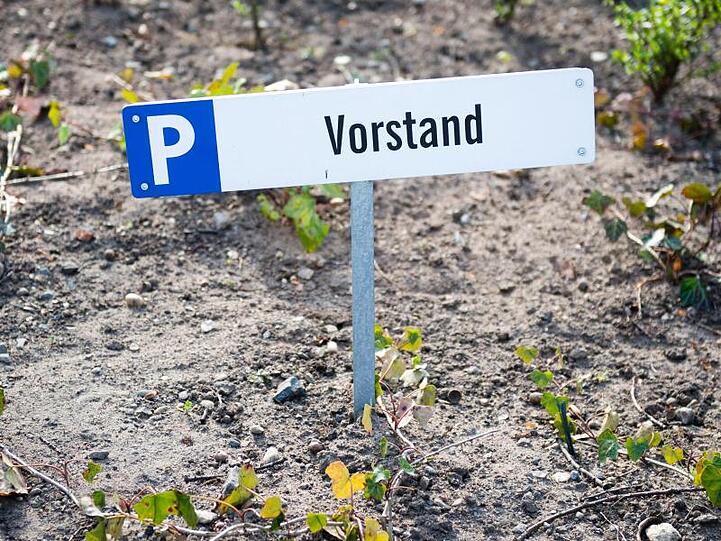 Laut der Studie hat etwa jeder Dritte wenig oder gar kein Vertrauen in die Strategie seines Arbeitgebers.