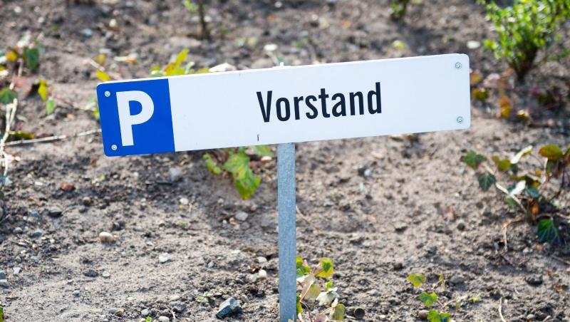 Laut der Studie hat etwa jeder Dritte wenig oder gar kein Vertrauen in die Strategie seines Arbeitgebers.