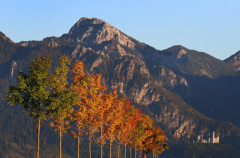 Goldener Herbst in Bayern (hier bei Hopferau) - doch jetzt folgt die Abkühlung.