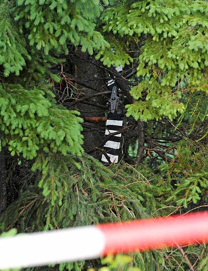 ... und in einem Waldstück bei Teisendorf(Berchtesgadener Land) abgestützt.