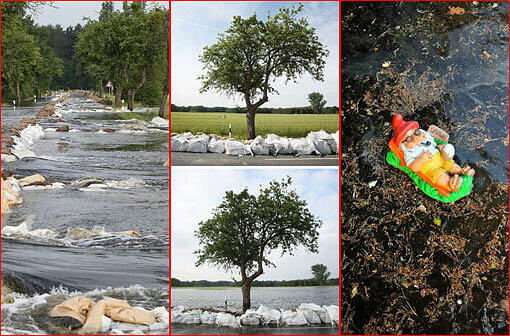 Vorher-Nachher-Fotos, Kurioses, überflutete Straßen: Aktuelle Hochwasser-Fotos aus Sachsen Anhalt