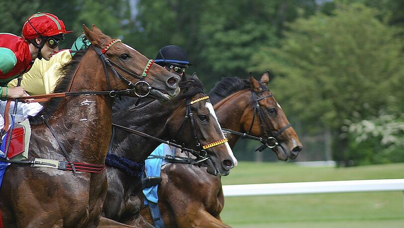Hier messen sich die besten Pferde und Jockeys – und hier gelten strengste Richtlinien bezüglich der Bedingungen für die Rennen und die Pferde. Hier messen sich die besten Pferde und Jockeys – und hier gelten strengste Richtlinien bezüglich der Bedingungen für die Rennen und die Pferde.