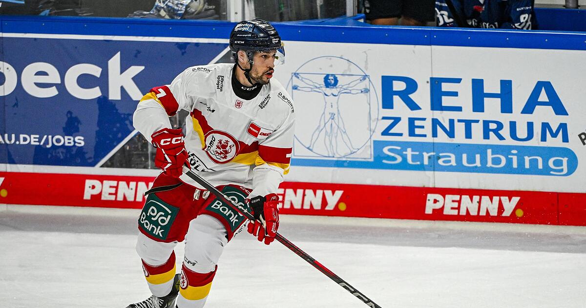 N-rnberg-Ice-Tigers-holen-Abwehrroutinier