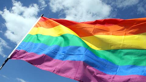 Bei einer Anti-Corona-Demonstration in Wien wurde eine Regenbogenflagge zerrissen. (Symbolbild)