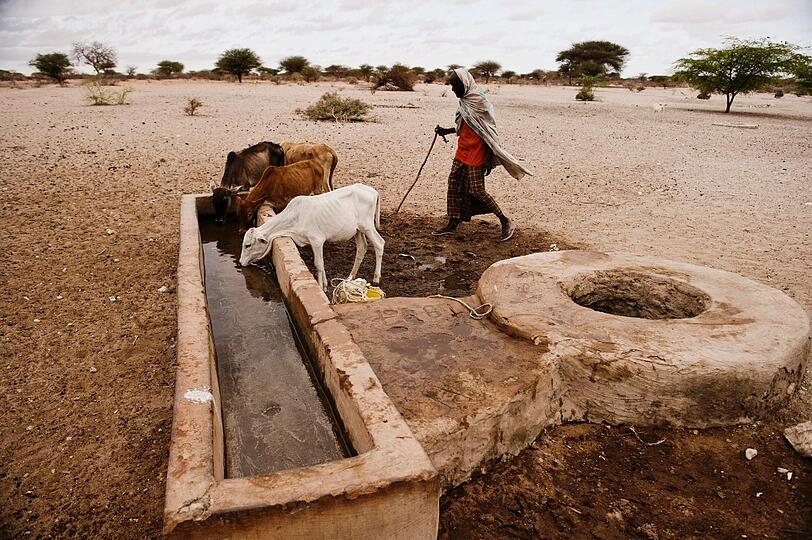 Die Menschen in Afrika benötigen schnelle Hilfe. Die Hungersnot steigt von Tag zu Tag.