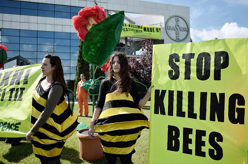 Greenpeace Aktivisten protestieren vor dem Pharmakonzern-Riesen Bayer gegen die angebliche Herstellung von Bienenkiller-Pestiziden.