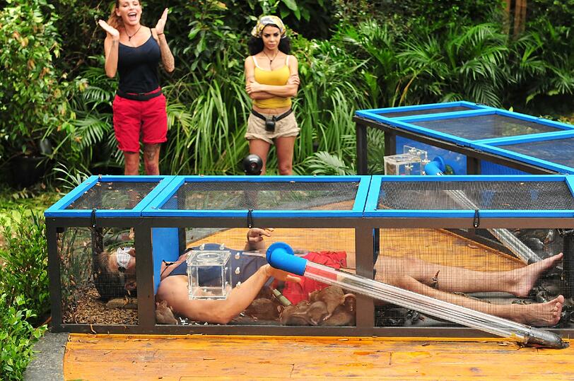 Dschungelduell Nummer 4 - die Bilder von "Getier für Vier"