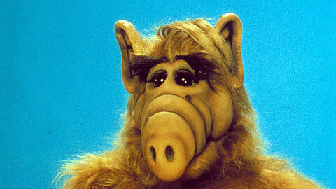 Neben "Revenge" ist auch ein Reboot der Kultserie "ALF" in der Mache