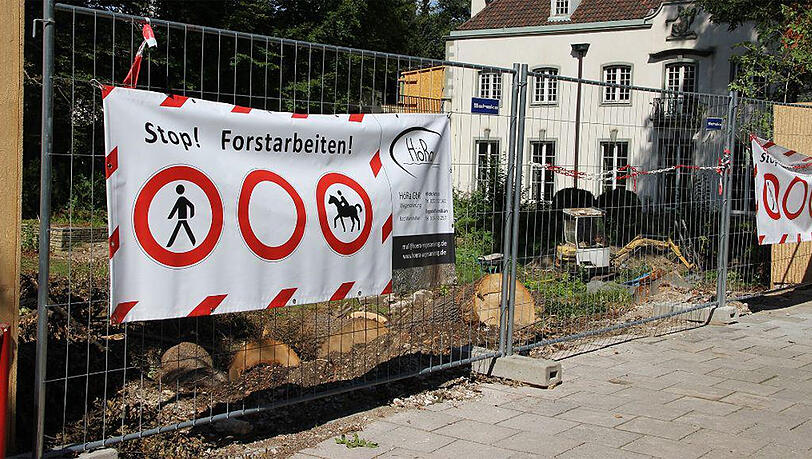 Im September erschüttert der Kahlschlag an der Mauerkircherstraße 65 die Anwohner: Für einen Neubau werden hier 20 Bäume gefällt. Im September erschüttert der Kahlschlag an der Mauerkircherstraße 65 die Anwohner: Für einen Neubau werden hier 20 Bäume gefällt.