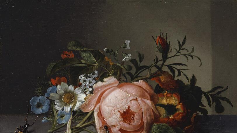 Mit 80 Jahren erfindet sich Rachel Ruysch noch einmal neu. Sie kommt zwar auf die kleinen Sträußchen ihrer Anfänge zurück, doch der Hintergrund ist aufgehellt, die Palette wird von Bonbonfarben dominiert. Hier ein Stillleben mit Rosenzweig, Käfer und Biene von 1741. Mit 80 Jahren erfindet sich Rachel Ruysch noch einmal neu. Sie kommt zwar auf die kleinen Sträußchen ihrer Anfänge zurück, doch der Hintergrund ist aufgehellt, die Palette wird von Bonbonfarben dominiert. Hier ein Stillleben mit Rosenzweig, Käfer und Biene von 1741.